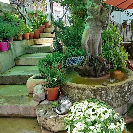 Casa Paco Guest House El Bosque Bagian luar foto