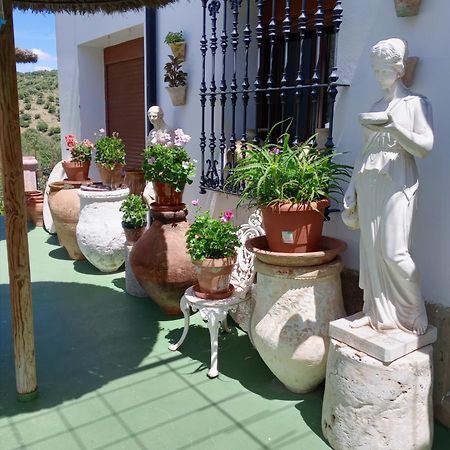 Casa Paco Guest House El Bosque Bagian luar foto