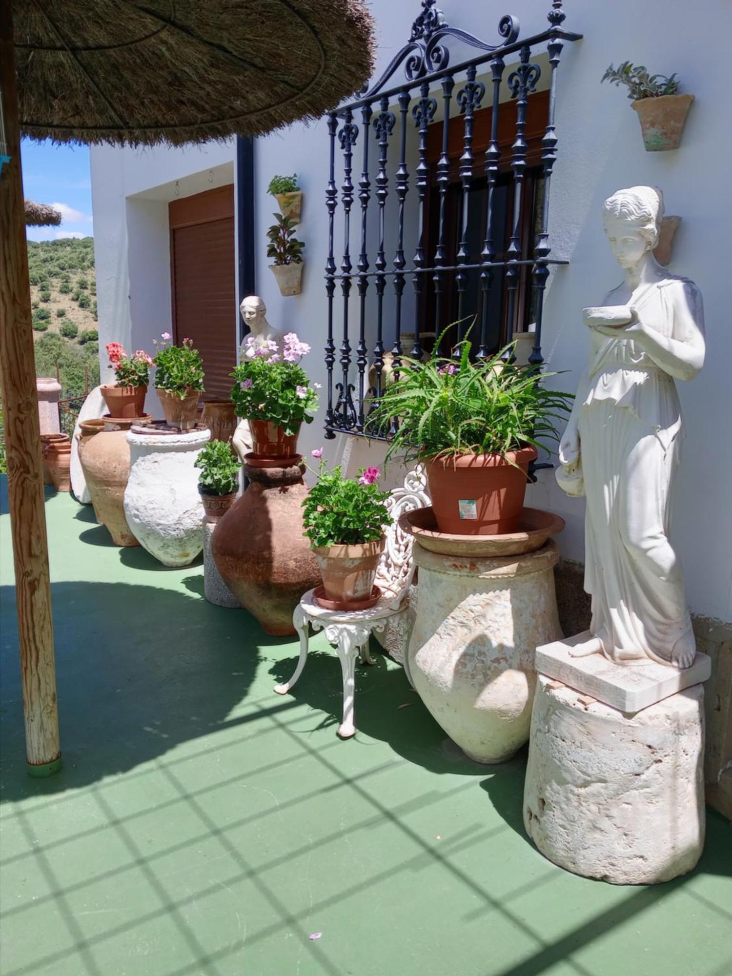 Casa Paco Guest House El Bosque Bagian luar foto